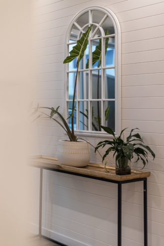 Melanoma Scan Toombul — Window Arc Design with Plants of Consilo