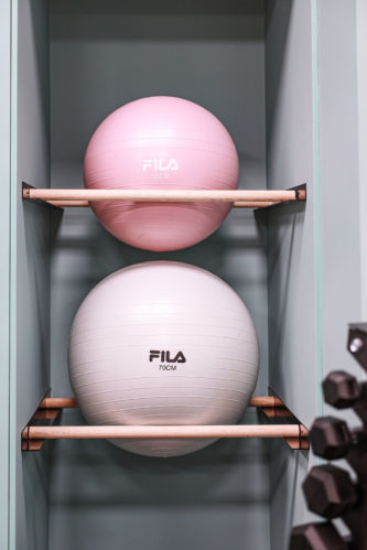 Refine Physiotherapy - Close-up of Physique Gym Balls, Essential Fitness Equipment for Effective Workouts